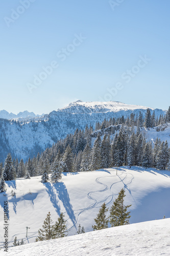 Winter in den Bergen, Schnee auf Bäumen und Spuren im Schnee