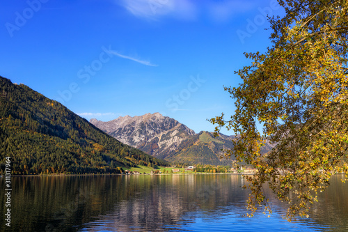 Golden Autumn
