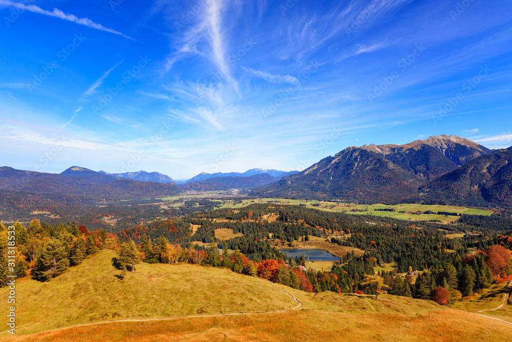 Naklejka premium Golden Autumn