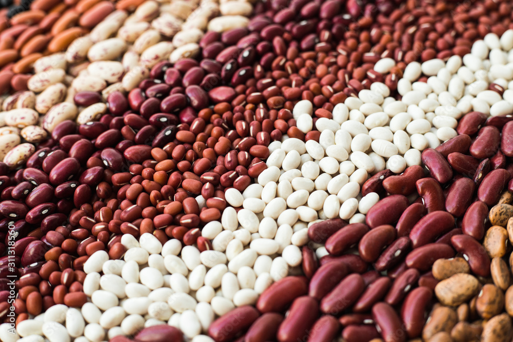 Different varieties of bean seeds. Beans background. Different varieties of bean seeds. Beans background.