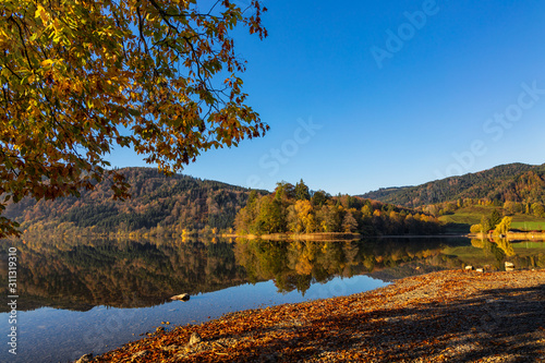 Golden Autumn