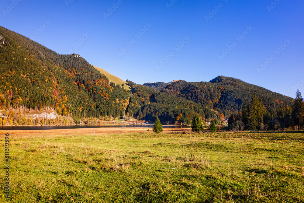 Fototapeta premium Golden Autumn