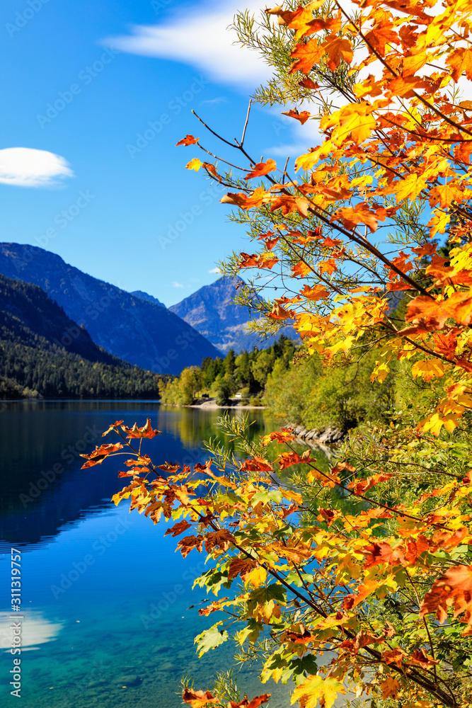 Naklejka premium Golden Autumn