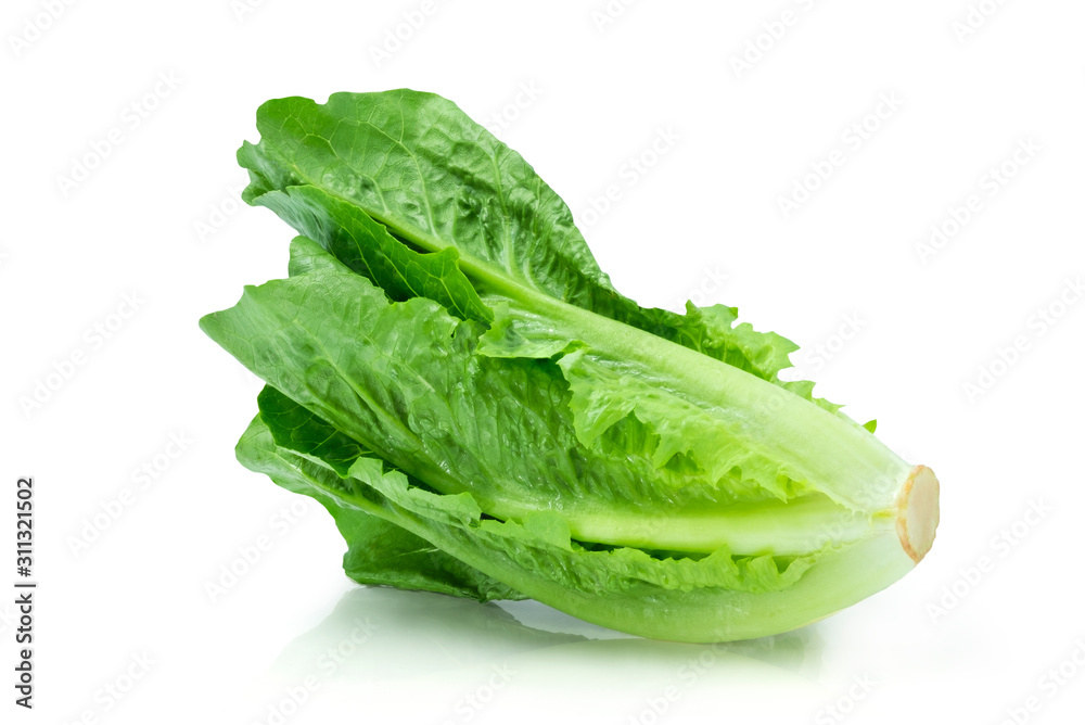 Fresh green Lettuce leaves, Salad leaf isolated on white background. with clipping path. Fresh green Lettuce leaves, Salad leaf isolated on white background. with clipping path.