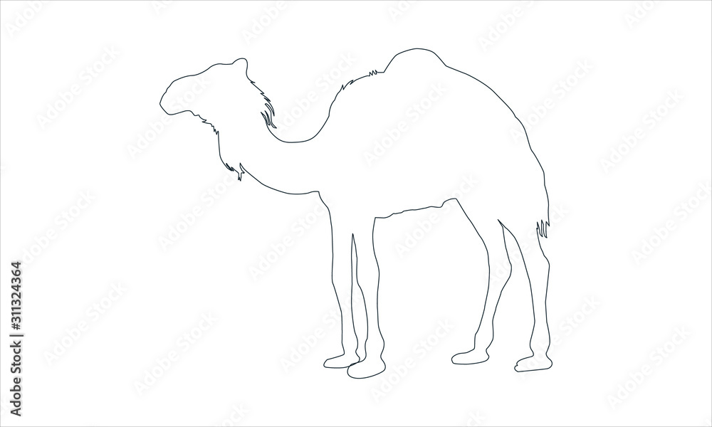 Fototapeta premium Camel icon for desert and wildlife-themed designs