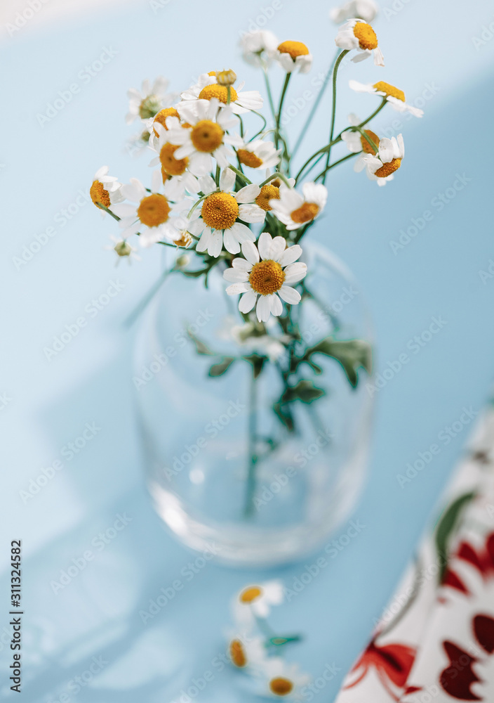Bouquet of small white daisies in a transparent vase on a blue background.