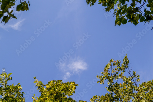 Sunny blue nabo with white clouds, background. © Zhanna  Voynova
