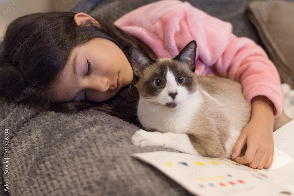 pretty sleeping girl with cat after doing homeworks pretty sleeping girl with cat after doing homeworks