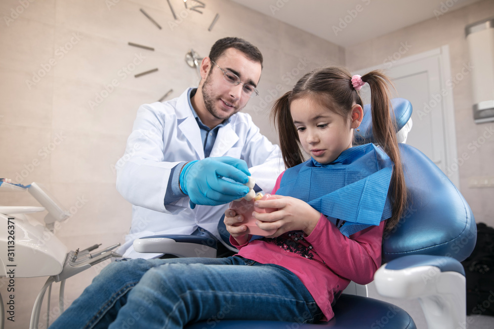 Young caucasian girl exploring teeth structure visiting dentist's office for prevention of the oral cavity. Child and doctor while checkup teeth. Healthy lifestyle, healthcare and medicine concept. Young caucasian girl exploring teeth structure visiting dentist's office for prevention of the oral cavity. Child and doctor while checkup teeth. Healthy lifestyle, healthcare and medicine concept.