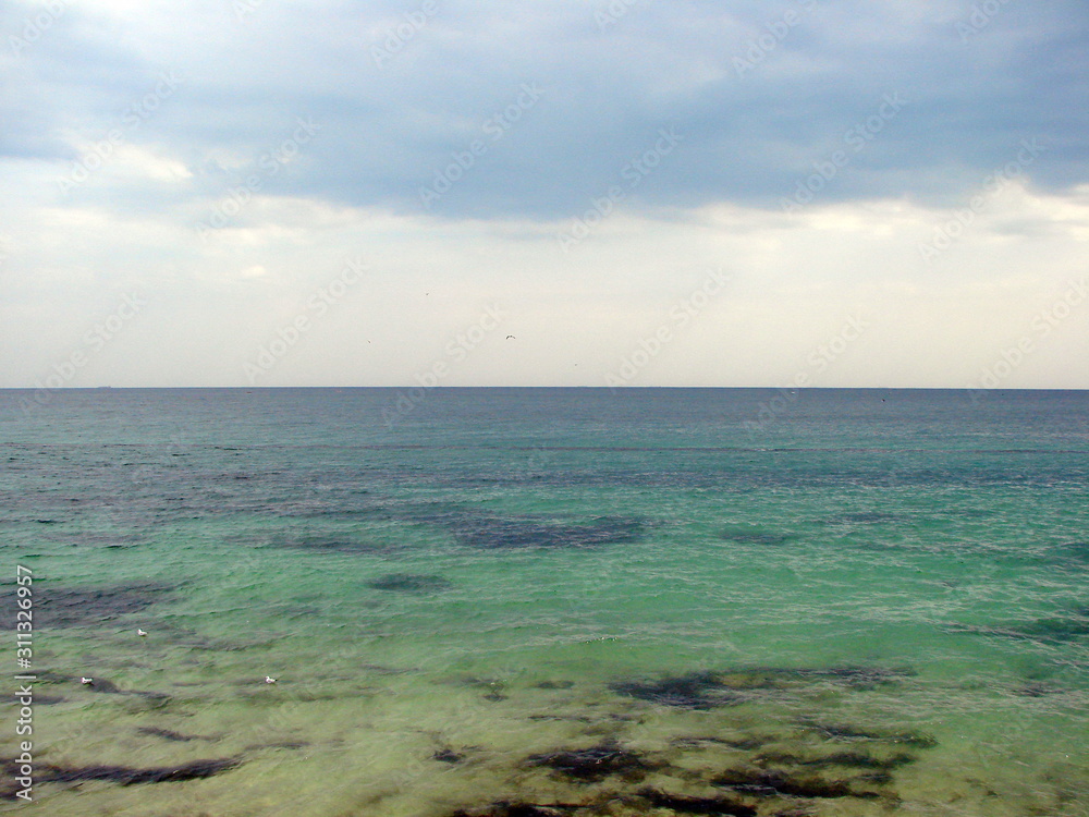 Natural picture of various colors and shades of the sea surface barely strewn with white drops of seabirds.