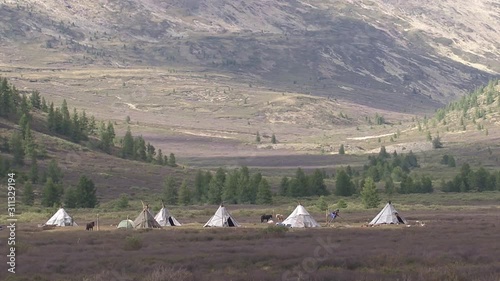 Mongolia, Darkhat basin. Settlement of reindeer herders. Deer. photo