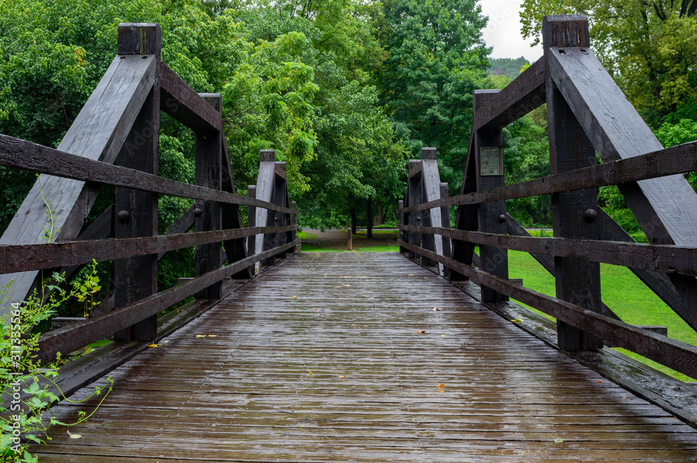A Wooden Bridge in the Forest