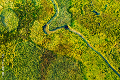 Marvelous view of winding river in green field. Lush wetlands of bird's eye view.