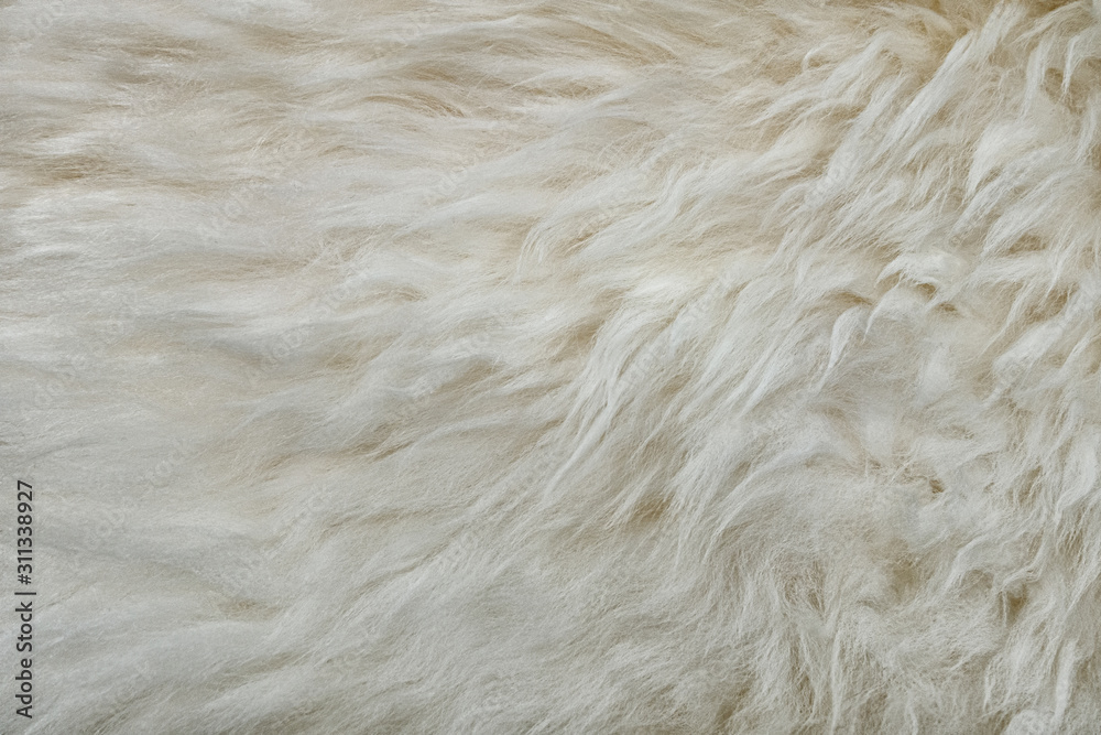 abstract background of warm artificial white fur on a knitted base close up abstract background of warm artificial white fur on a knitted base close up