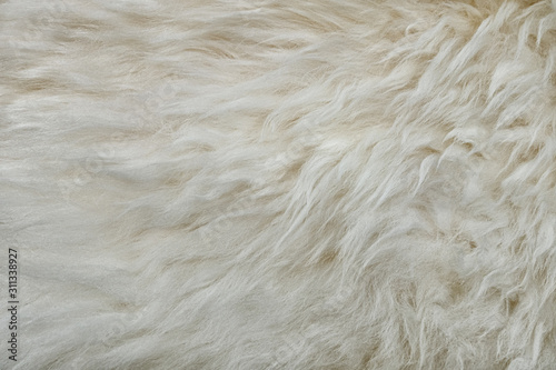 abstract background of warm artificial white fur on a knitted base close up