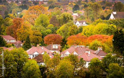 Houses among trees autumn view 