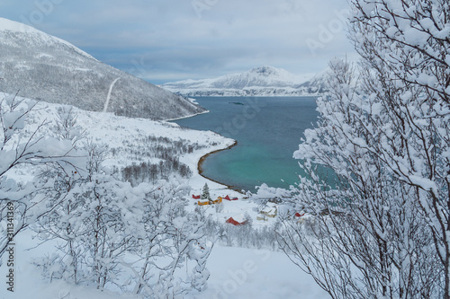 Norwegian fjords