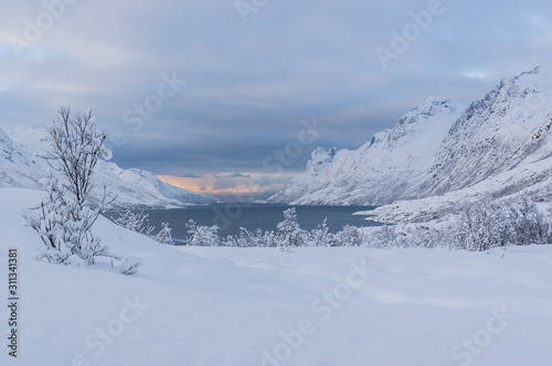 Norwegian fjords
