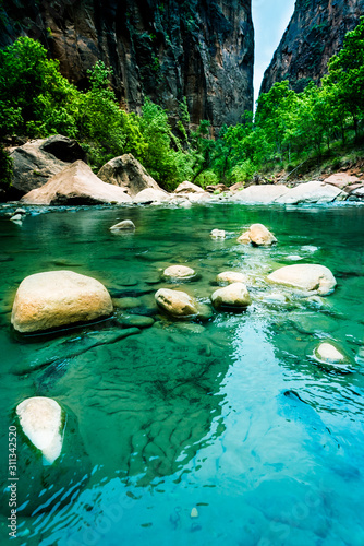 Canvas Print Environmental policy, ecology or landscape protection concepts