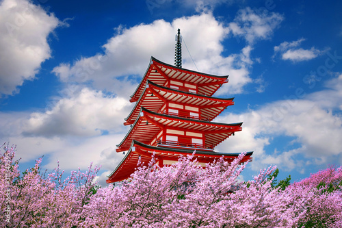 Wallpaper Mural Red pagoda and cherry blossoms in spring, Japan.