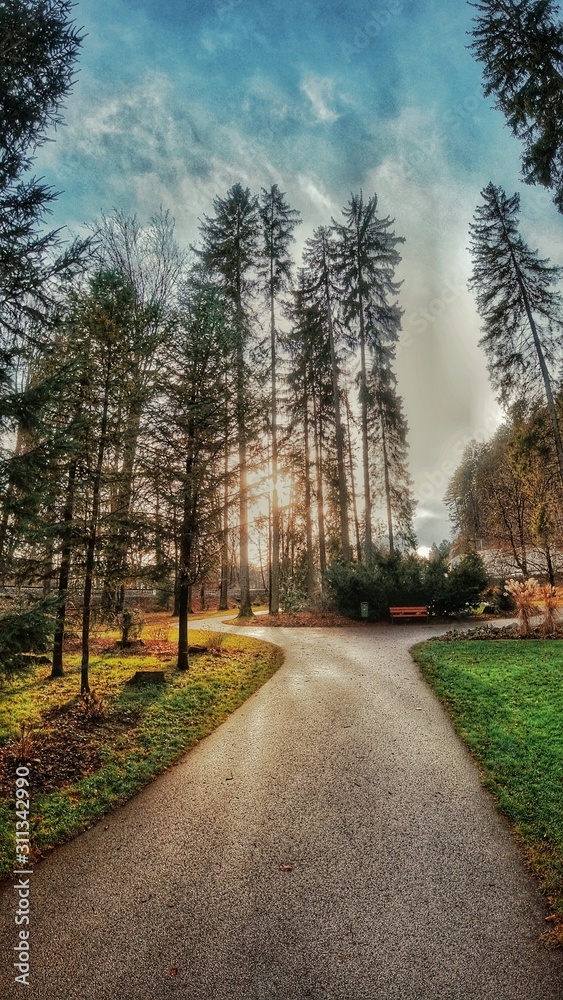 Obraz premium nature