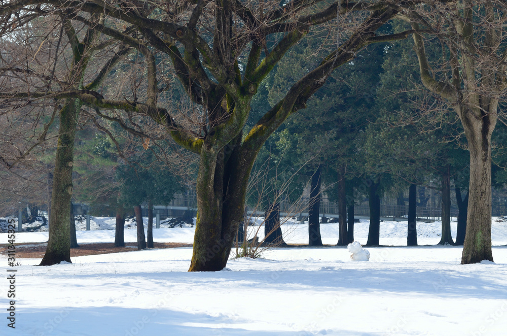 雪の積もった公園 雪の積もった公園