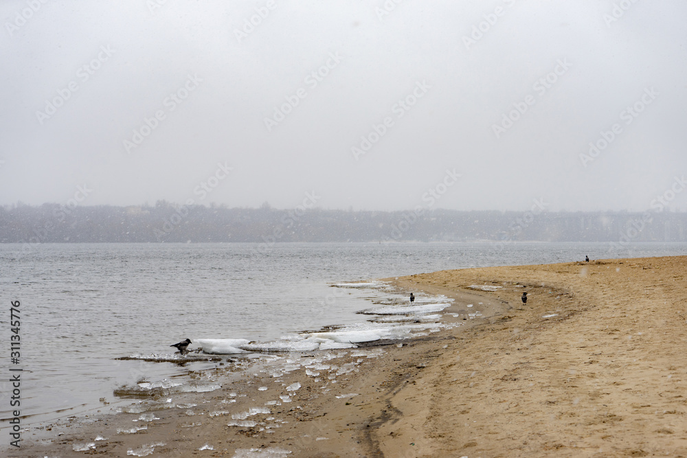 An empty beach on the river at winter occupied by ravens