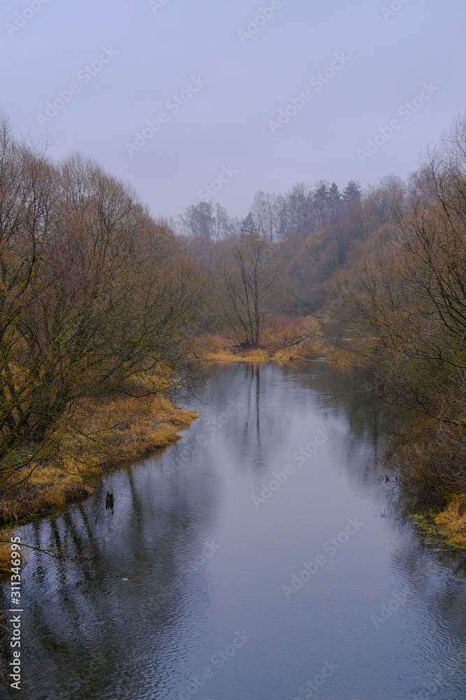 Autumn landscape. The shore of a small river overgrown with trees on a rainy day in late autumn.