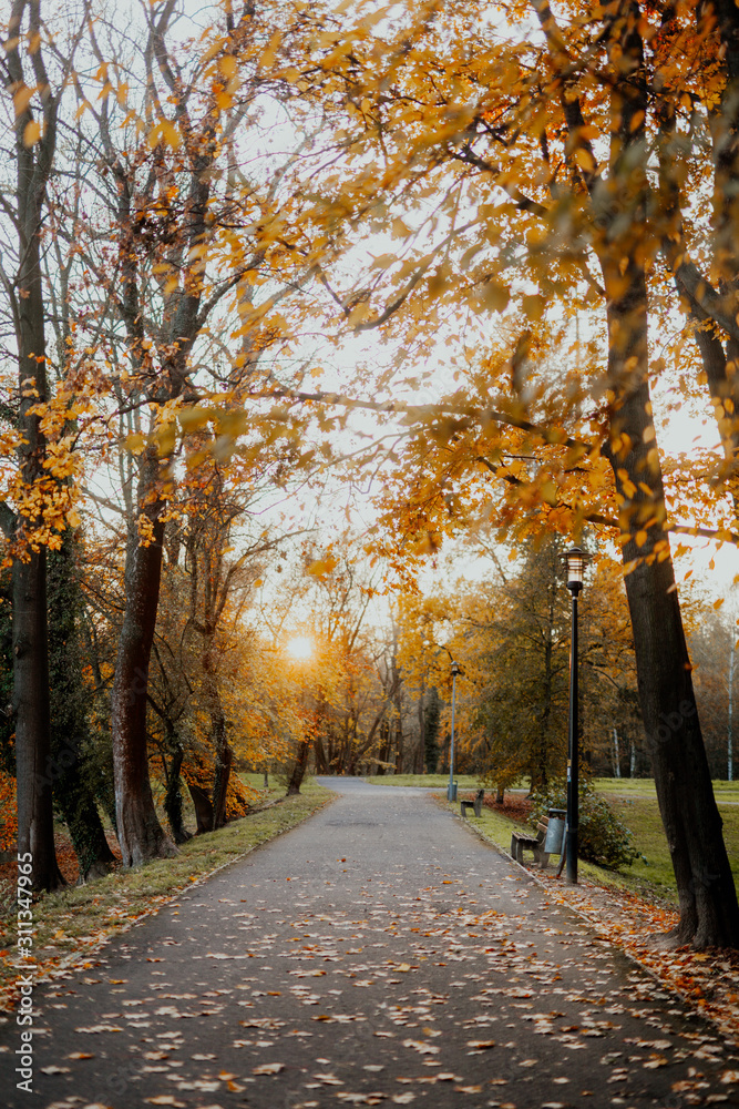 Naklejka premium Naszywka w parku o jesiennym zachodzie słońca