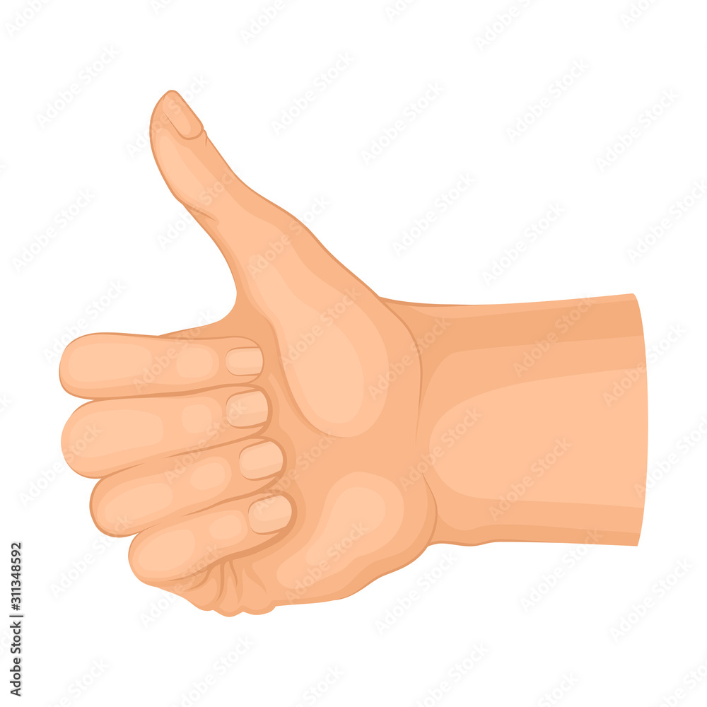 Detailed Hand Making Approvement Gesture Isolated on White Background Vector Element Detailed Hand Making Approvement Gesture Isolated on White Background Vector Element
