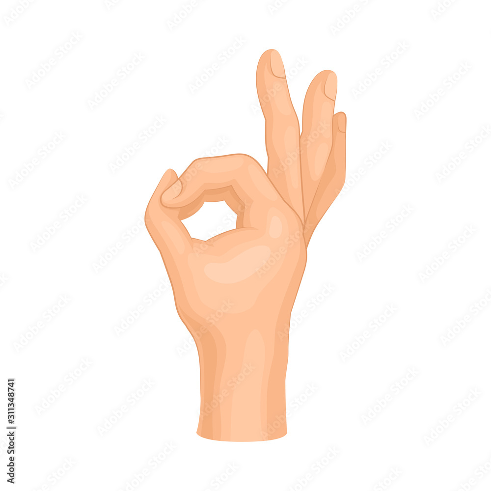Detailed Hand Making OK Gesture Isolated on White Background Vector Element Detailed Hand Making OK Gesture Isolated on White Background Vector Element