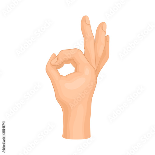 Detailed Hand Making OK Gesture Isolated on White Background Vector Element