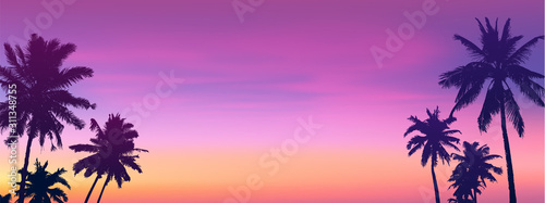 Fototapeta Naklejka Na Ścianę i Meble -  Dark palm trees silhouettes on sunset or sunrise background, vector panoramic bannet illustration