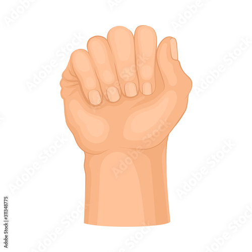 Detailed Hand Clasped in Fist Vector Isolated on White Background Gesture