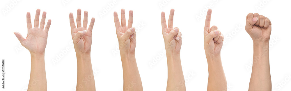 Hand isolated on white background, Hand counts from zero to five. with clipping path Hand isolated on white background, Hand counts from zero to five. with clipping path