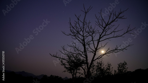 A group of tourists on Doi Inthanon  Thailand  watching the sunrise in the morning.