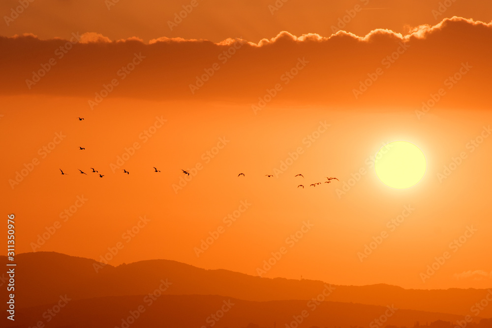 Colorful sky at sunset background