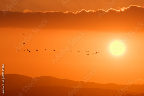 Colorful sky at sunset background