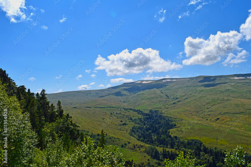 Beautiful mountains, meadows and green pines. Blue sky and white clouds. Summer landscape, sunny day. Horizontal photo. Plateau Lago-Naki, Adygea.