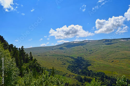 Beautiful mountains, meadows and green pines. Blue sky and white clouds. Summer landscape, sunny day. Horizontal photo. Plateau Lago-Naki, Adygea.