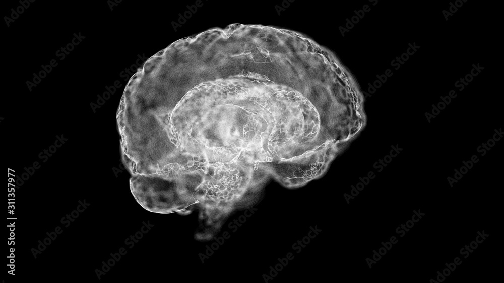 Magnetic resonance image of human brain over black background. Magnetic resonance image of human brain over black background.