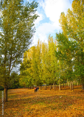 Senderismo en otoño en el Parque Natural Sierra Norte de Sevilla cerca del pueblo de San Nicolás del Puerto en la provincia de Sevilla, Andalucía, España photo