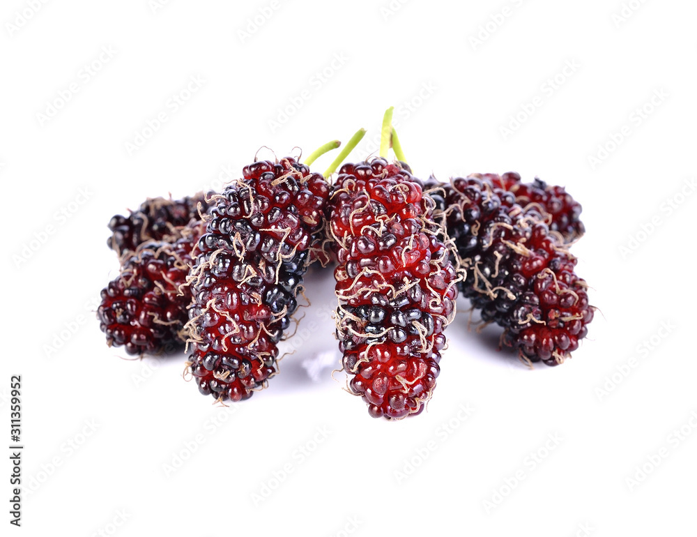 mulberry isolated on the white background mulberry isolated on the white background