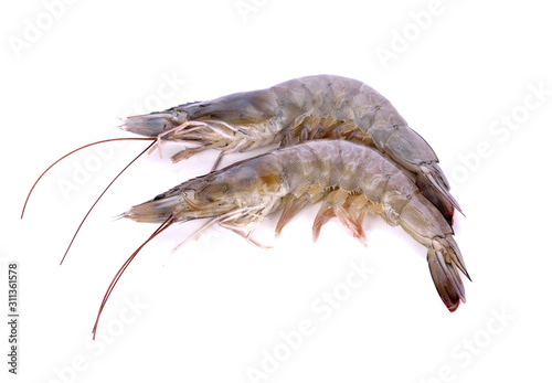 Fresh prawn (shrimp) on white © rprongjai