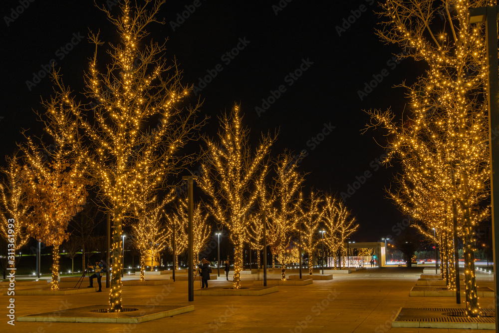 Night view of park Krasnodar, Galician park with football stadium and infrastructure for recreation. Festive illuminations on trees for New Year and Christmas. Krasnodar, Russia, December, 2019. 
