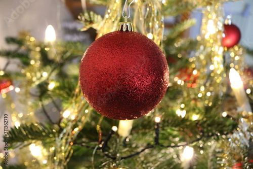 plantet weihnacht