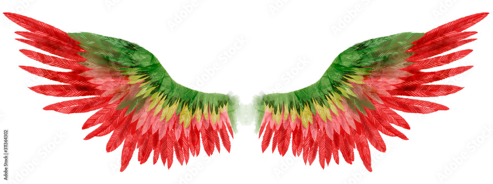Fototapeta Beautiful red green magic watercolor wings