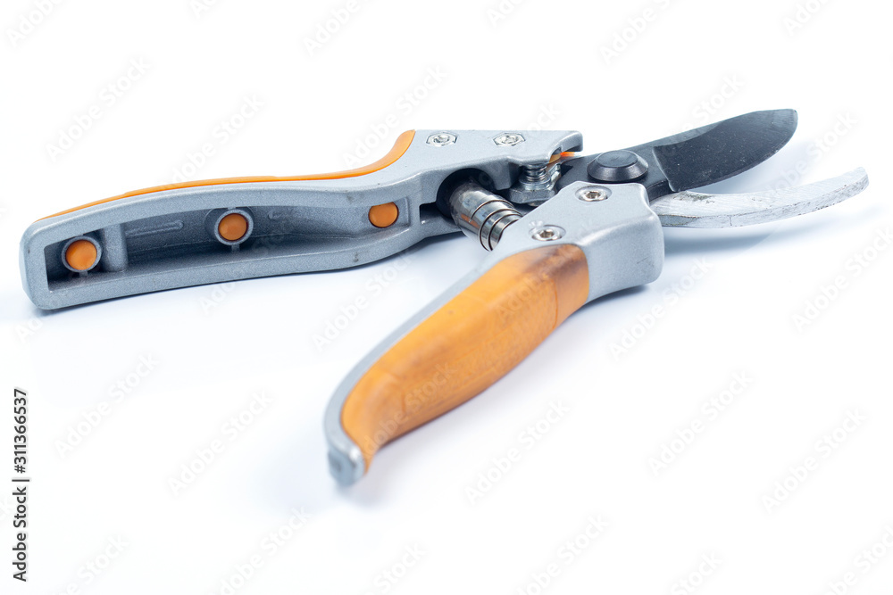 Fototapeta premium Orange branch scissor