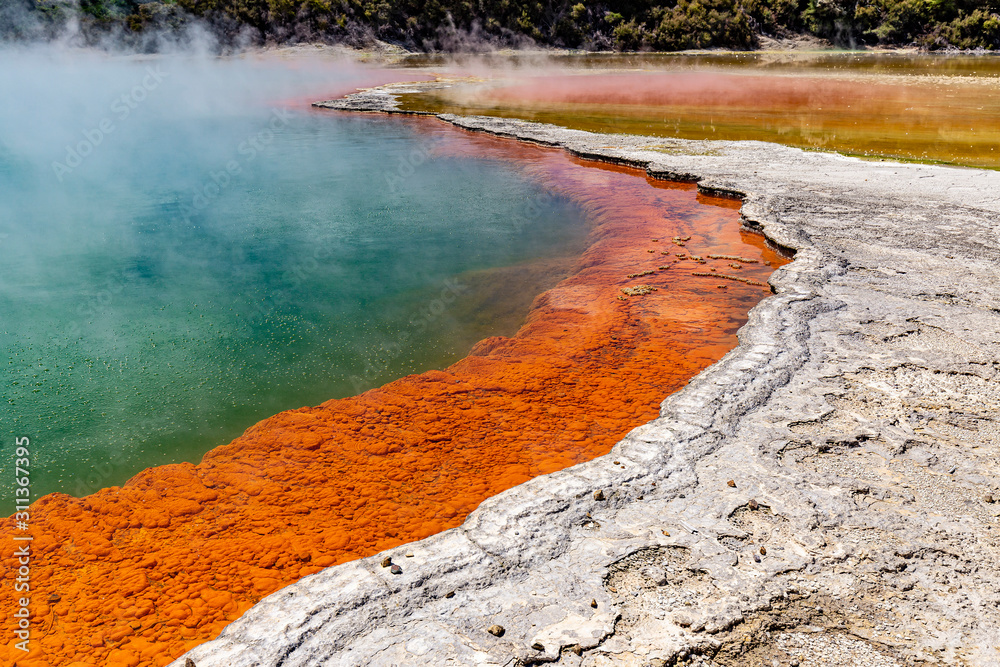New Zealand, North Island. Rotorua, Wai-O-Tapu ( New Zealand, North Island. Rotorua, Wai-O-Tapu (