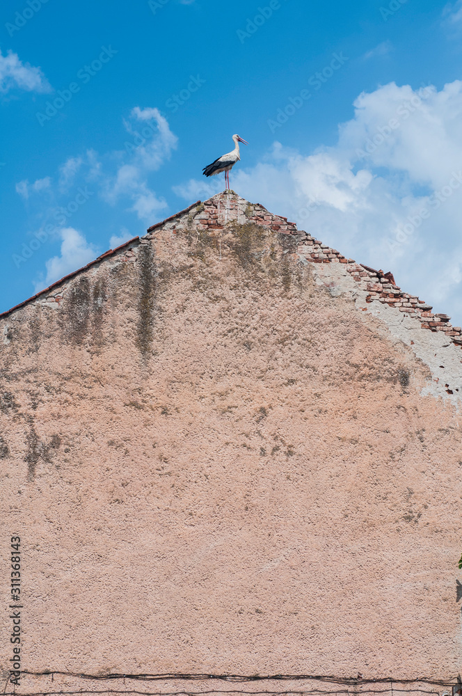 Stork perched on the ridge of old house roof on blue sky background